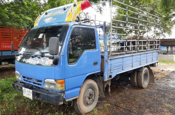 ขาย 6 ล้อ ISUZU APR กระบะยาว 5 เมตร เครื่อง 4HF1 120 แรงม้า คัสซีสวยตลอดเส้น ยางเต็ม คอกเหล็กพร้อมบรรทุก พวงมาลัยพาวเวอร์ ทะเบียนพร้อมโอนครับ