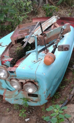 หัวยาว อีชูชุ   ราคา  20,000  บาท