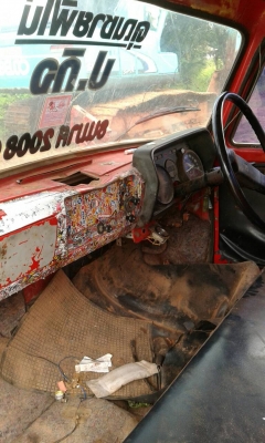 หัวยาว อีชูชุ   ราคา  20,000  บาท