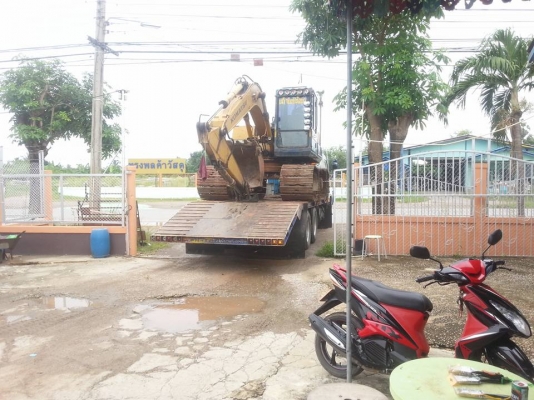 ไปอยู่กับเจ้าของใหม่แล้วครับ ขอบคุณเสี่ย ที่เดินทาง มาจาก ชะอำ