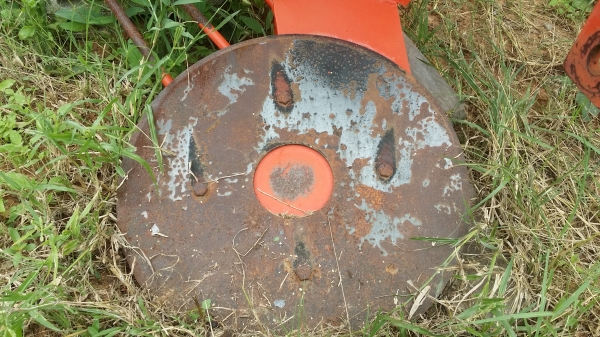 ขายผานขุดมัน