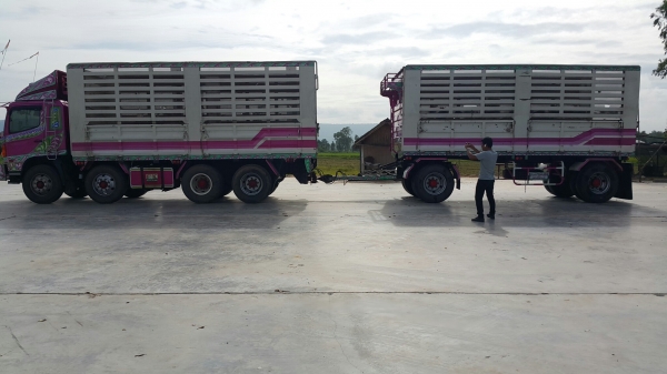 ขายรถพ่วง 20 ล้อ แม่.ลูก กระบะเหล็กคอกเกษตรไม่ดั้ม HINO 260 ปี.48 เครื่องแน้น เกียร์ดี ยางไม่สวย ราคา1600000 สนใจรีบจองด่วน