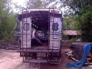 ขาย