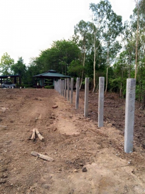 รับตอกเสาเข็มทั่วประเทศโดยปั้นจั่นตีนตะขบ,ปั้นจั่นราง, สามขา,ล้อยาง แบบมืออาชีพ093-5596627,085-7666984