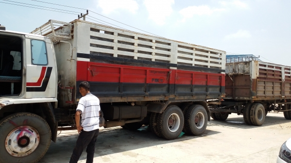 ขายพ่วง แม่-ลูก (ไม่ดั้ม) ขายพ่วง แม่-ลูก (ไม่ดั้ม)