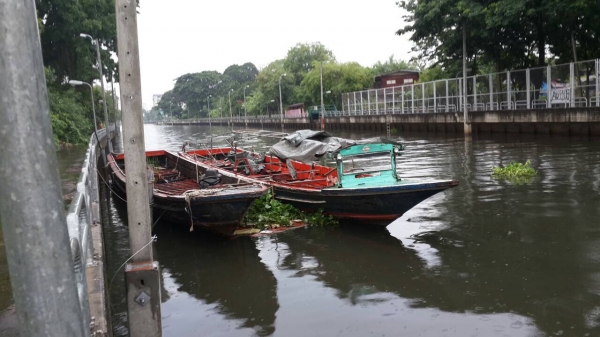 เรือไม้เนื้อแข็ง ไม่รั่ว พร้อมใช้งาน