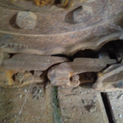 เกษตรพัฒนา  รถเกี่ยวข้าวอุ้ม ไอ้หนุ่มไวไฟ ขาย 1,450,000 บาท