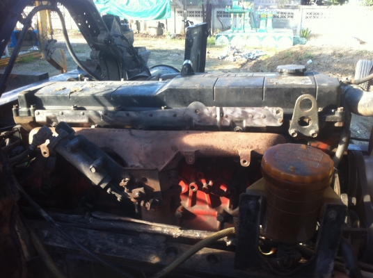 มาอีกแล้ว 195 นางฟ้า สวยๆ มาอีกแล้ว 195 นางฟ้า สวยๆ