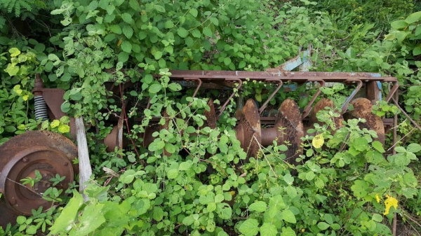 ขายตามสภาพ รถไถ JOHN DEERE รุ่นเก่า เครื่องสตาร์ทติดใช้งานได้ อุปกรณ์มีผานดันหน้า กับผาน 7 จอดไว้นานยางแบนหมดแล้วครับ ราคาต่อรองได้นิดหน่อย ขายตามสภาพ รถไถ JOHN DEERE รุ่นเก่า เครื่องสตาร์ทติดใช้งานได้ อุปกรณ์มีผานดันหน้า กับผาน 7 จอดไว้นานยางแบนหมดแล้วครับ ราคาต่อรองได้นิดหน่อย