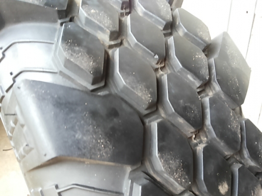 ยาง31×10.5×16 คิงคอบบ้า by โอตานิ ยาง31×10.5×16 คิงคอบบ้า by โอตานิ