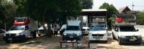 ขายรถห้องเย็น