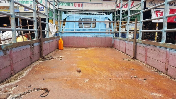 ขาย 6 ล้อ ISUZU เครื่อง 4BC2 100 แรงม้า คัสซีสวยตลอดเส้น คอกเหล็กพร้อมบรรทุก ทะเบียนพร้อมโอน