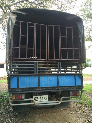 รถ6ล้อ อีซูซุnpr 115แรงม้า ปี33 รถ6ล้อ อีซูซุnpr 115แรงม้า ปี33