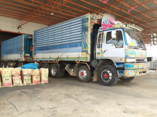 ขาย HINO 3M วางเครื่อง P11 พ่วงแม่ลูก กระเนียมคอกเกษตรดั๊ม