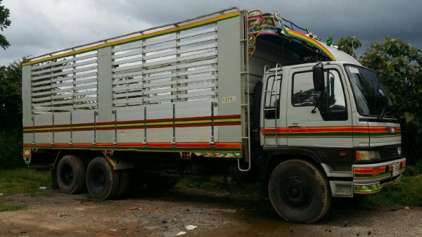 ขายกะบะปิเนียมทั้งลูก ขายกะบะปิเนียมทั้งลูก