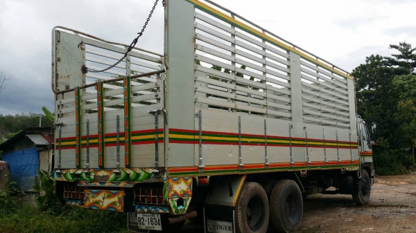 ขายกะบะปิเนียมทั้งลูก