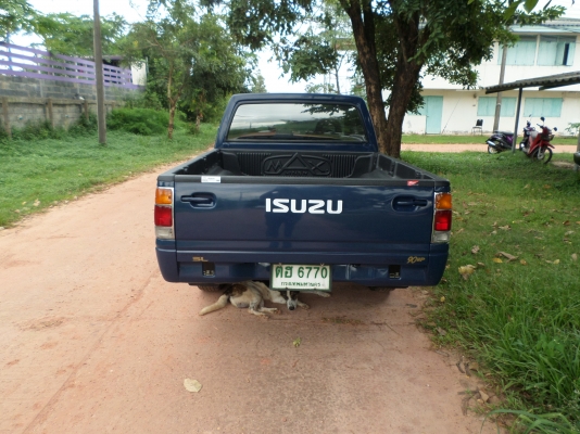 ขายรถกระบะมังกรทอง ISUZU TFR SPACECAB ปี36 พวงมาลัยพาเวอร์ เครื่องดีรถเดิมบางทั้งคันสีเดิม เครื่องนิ่งมากครับประหยัดน้ำมันสุดๆ ช่วงล่างแน่นปึกครัชชีเดิมสวยไม่มีผุ เอกสารพร้อมโอน+ภาษีพรบเต็ม59 สีน้ำเงิน แอร์เย็นจัด+ชีดี+ล้อแม๊กยางดี4เส้น รถสภาพพร้อมใช้งานค ขายรถกระบะมังกรทอง ISUZU TFR SPACECAB ปี36 พวงมาลัยพาเวอร์ เครื่องดีรถเดิมบางทั้งคันสีเดิม เครื่องนิ่งมากครับประหยัดน้ำมันสุดๆ ช่วงล่างแน่นปึกครัชชีเดิมสวยไม่มีผุ เอกสารพร้อมโอน+ภาษีพรบเต็ม59 สีน้ำเงิน แอร์เย็นจัด+ชีดี+ล้อแม๊กยางดี4เส้น รถสภาพพร้อมใช้งานค