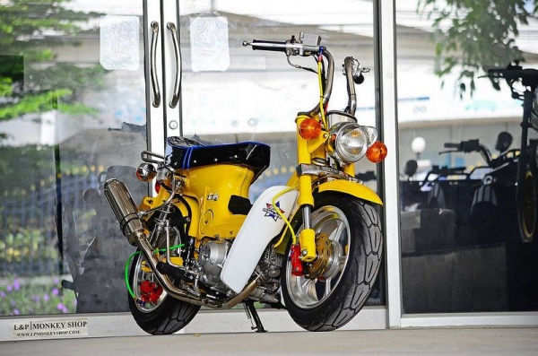 ชาลีแต่ง  มังกี้ กอลิล่าแต่ง มีมากกว่า 100++ แบบ โครง cnc รวมของแต่ง เพียบ ราคาเริ่มต้น.........