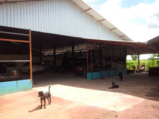 ขายที่ดินพร้อมสิ่งปลูกสร้าง ขายที่ดินพร้อมสิ่งปลูกสร้าง