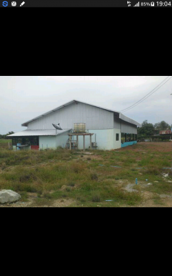 ขายที่ดินพร้อมสิ่งปลูกสร้าง ขายที่ดินพร้อมสิ่งปลูกสร้าง