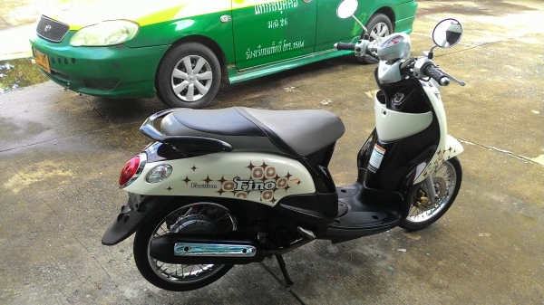 ขายฟีโน่สวยๆ ขายฟีโน่สวยๆ