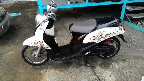 ขายฟีโน่สวยๆ