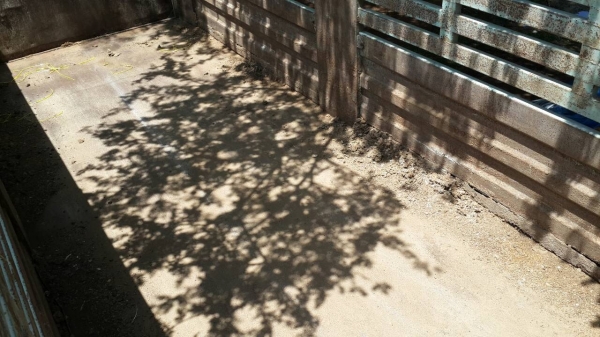 ประกาศนี้ ซื้อขายแล้ว!