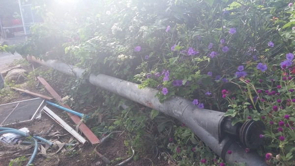 เครื่องคูโบต้า 11 แรง พร้อมพยานาคหน้า6