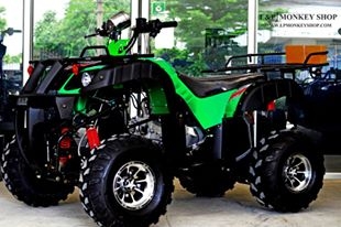 จัดโปรใหม่  BIG BEAR 125 cc ลดราคาพิเศษคุ้มสุดๆ ราคาเริ่มต้นที่...a