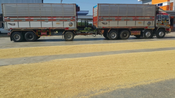 ขายรถ 22 ล้อ แม่.ลูก คอกเกษตรเนียมดั้ม อู่.ธวัชชัย ISUZU 320 ปี.50 รถสวยมากๆราคา.2250000 ต่อรอง สนใจรีบโทรจองด่วน