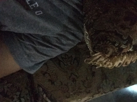 รถอีซูซุ 10 ล้อ หลังถนน FVM  175 แรงม้า.    สนใจติดต่อ  081 - 6079515