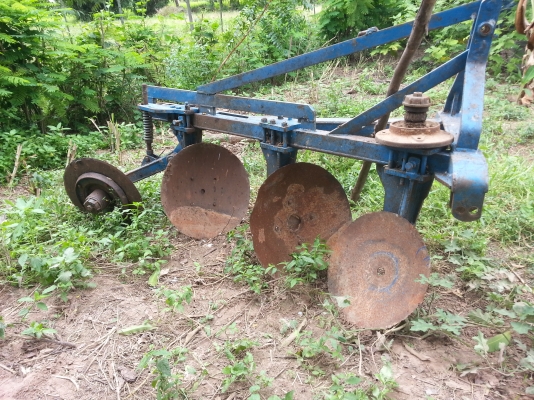 ขายผาน3 tt เฟริส