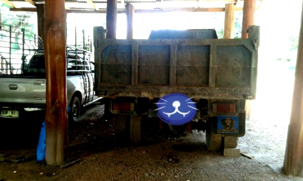 ขาย 385,000บ อีซุซุ NPR135 พาเวอร์ ล่างใหญ่ ดั้ม5คิว สภาพดีสวยเดิมพร้อมลุย เล่ม ทะเบียนพร้อมโอน