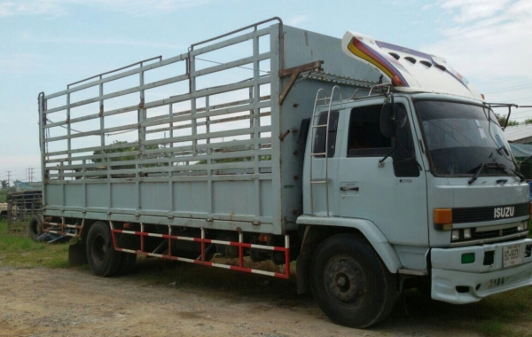 หกล้อ อีซูชุ ร็อคกี้ 165 รถห้าง แคชชีใหญ่ตลอด ช่วงยาว 7.20ม สภาพสวยพร้อมใช้ เล่มพร้อมโอน