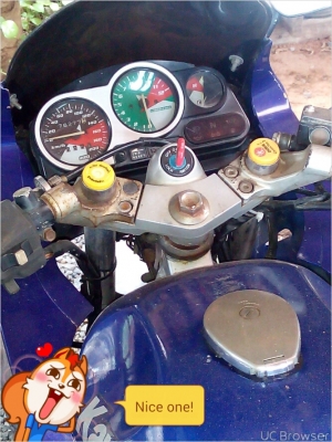 ขายด่วนเชอร์เสื้อตึก เล่มเขียว 11000 ขายด่วนเชอร์เสื้อตึก เล่มเขียว 11000