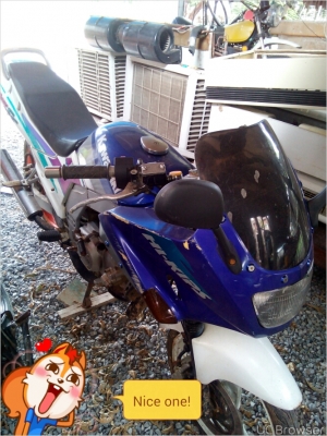 ขายด่วนเชอร์เสื้อตึก เล่มเขียว 11000 ขายด่วนเชอร์เสื้อตึก เล่มเขียว 11000