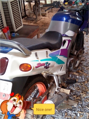 ขายด่วนเชอร์เสื้อตึก เล่มเขียว 11000 ขายด่วนเชอร์เสื้อตึก เล่มเขียว 11000