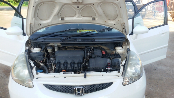 ขายjazz สวยๆ ถูกๆ โทรมาเลยจ้า แม่บ้านใช้ดูแลดี