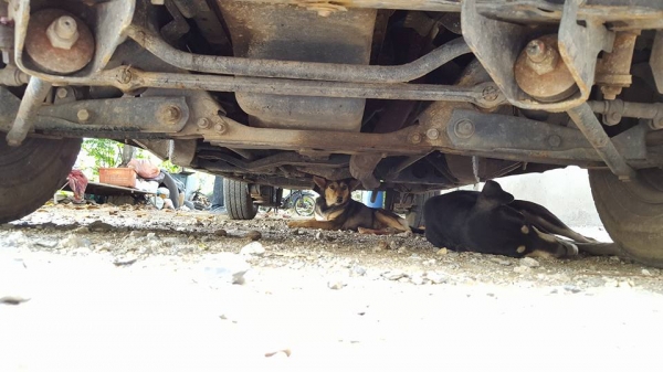 บิ๊กเอ็ม 90 ฝาแดง เครื่องแห้งๆ ฟิตสต๊าทติดง่าย  สภาพสวยพร้อมใช้ เครื่องดี คัสซีสวย เบรคดี ช่วงล่างแน่น