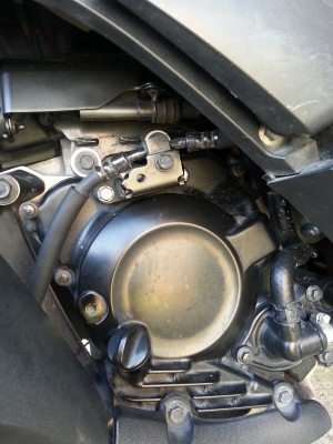 ขาย forza300 รถปี56 สนใจติดต่อ 0817771417