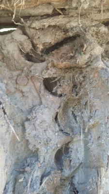 ขายรถแบคโฮ KOMATSU PC200-8 เอกสารอินวอย 16000 ชม.ราคา 1550000