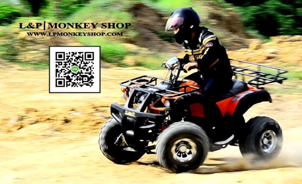 จัดโปรใหม่  BIG BEAR 125 cc ลดราคาพิเศษคุ้มสุดๆ ราคาเริ่มต้นที่...a