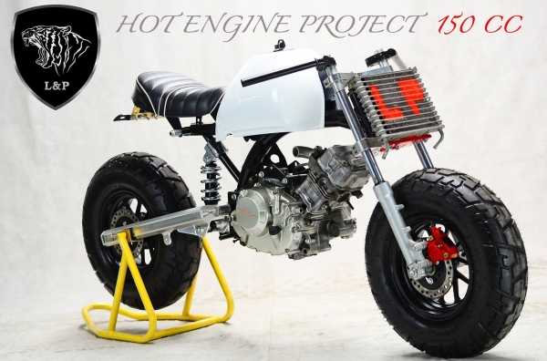 มังกี้ กอลิล่า เดิม ราคาสุดๆ เริ่มต้นเพียง 2XXXX  แต่งๆๆ ลดราคาทุกรุ่นและมีของแถมอีกมากมาย  ด่วนๆๆ ลดๆๆ   เริ่มต้นราคา ที 22999