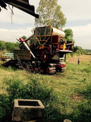 ขายรถเกี่ยวข้าว เกษตรพัฒนา สภาพพร้อมใช้งาน สนใจโทร 090-8588220คุณนะ 093-3258446คุณบิว หรือเข้าดูสินค้าอื่นๆได้ที่ www.truck.in.th/498 หรือเพจFacebook ณรงค์ ซื้อขายรถมือสอง (เว็บไซต์ส่วนตัว) หรือFacebook ตลาดรถมือสอง คุณนะ