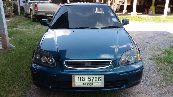 ขายตาโต