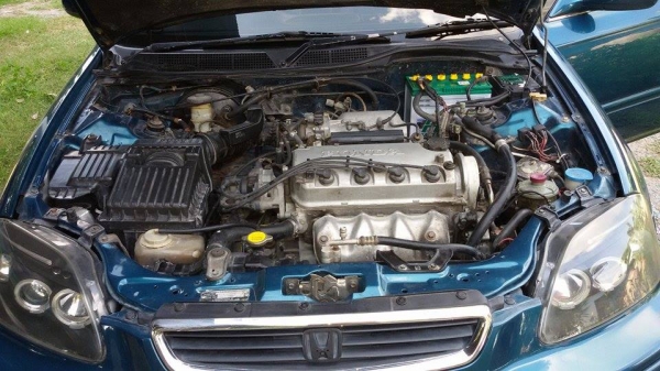 ขายตาโต