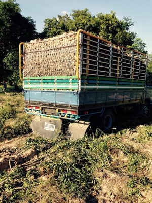 ขายรถ6ล้อ ISUZU NPR110แรง ยาว4.30เมตร สภาพพร้อมใช้งาน เอกสารพร้อมโอน สนใจโทร 090-8588220คุณนะ 093-3258446คุณบิว หรือเข้าดูสินค้าอื่นๆได้ที่ www.truck.in.th/498 หรือเพจFacebook ณรงค์ ซื้อขายรถมือสอง (เว็บไซต์ส่วนตัว) หรือFacebook ตลาดรถมือสอง คุณนะ