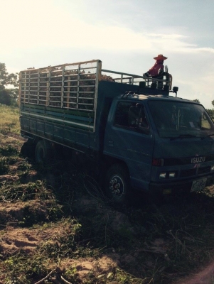 ขายรถ6ล้อ ISUZU NPR110แรง ยาว4.30เมตร สภาพพร้อมใช้งาน เอกสารพร้อมโอน สนใจโทร 090-8588220คุณนะ 093-3258446คุณบิว หรือเข้าดูสินค้าอื่นๆได้ที่ www.truck.in.th/498 หรือเพจFacebook ณรงค์ ซื้อขายรถมือสอง (เว็บไซต์ส่วนตัว) หรือFacebook ตลาดรถมือสอง คุณนะ