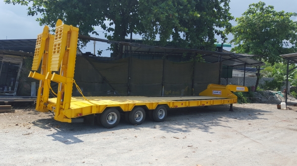 ขายโรเบทพื้นปิดรุ่นใหม่พื้นเต็มจัดดาวน์