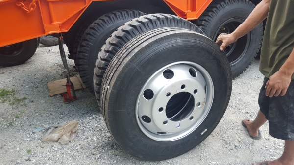 ขายโรเบทพื้นปิดรุ่นใหม่พื้นเต็มจัดดาวน์